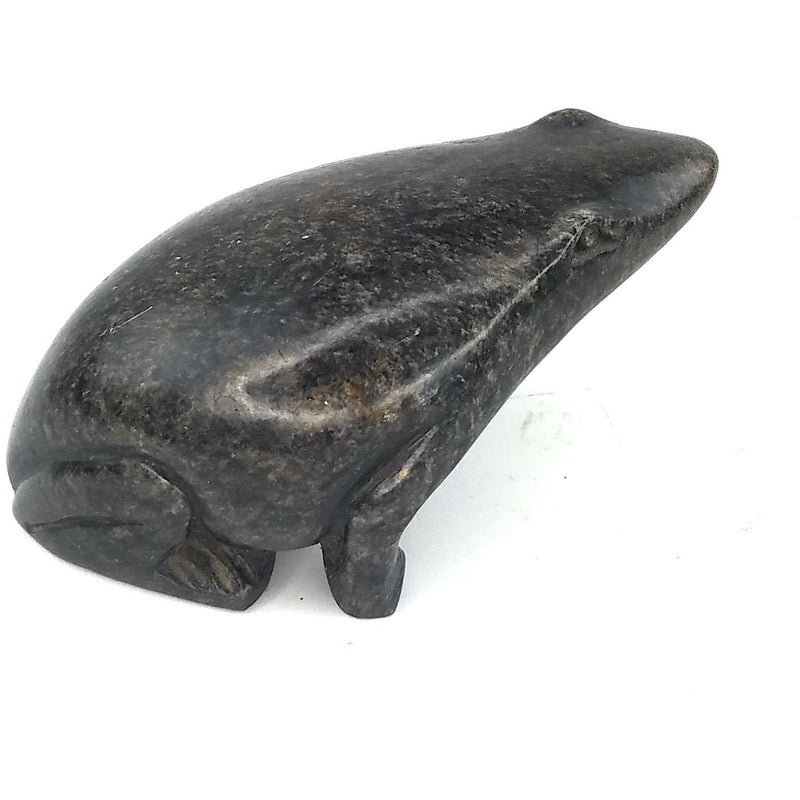 African Frog Statue | Hand Carved In Zimbabwe
