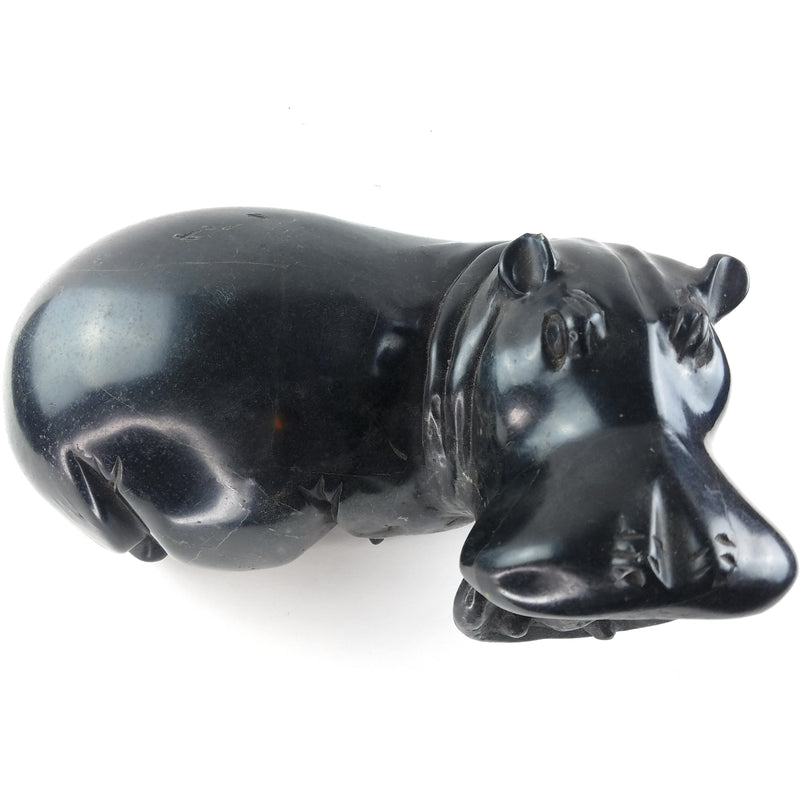 Resting Hippo Hand Carved In Zimbabwe