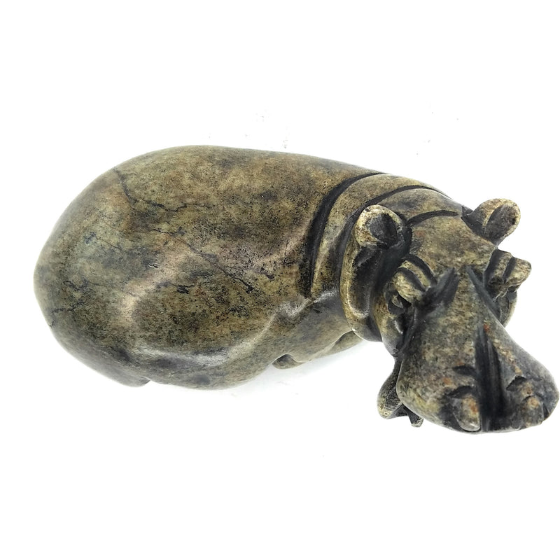 Resting Hippo Hand Carved In Zimbabwe