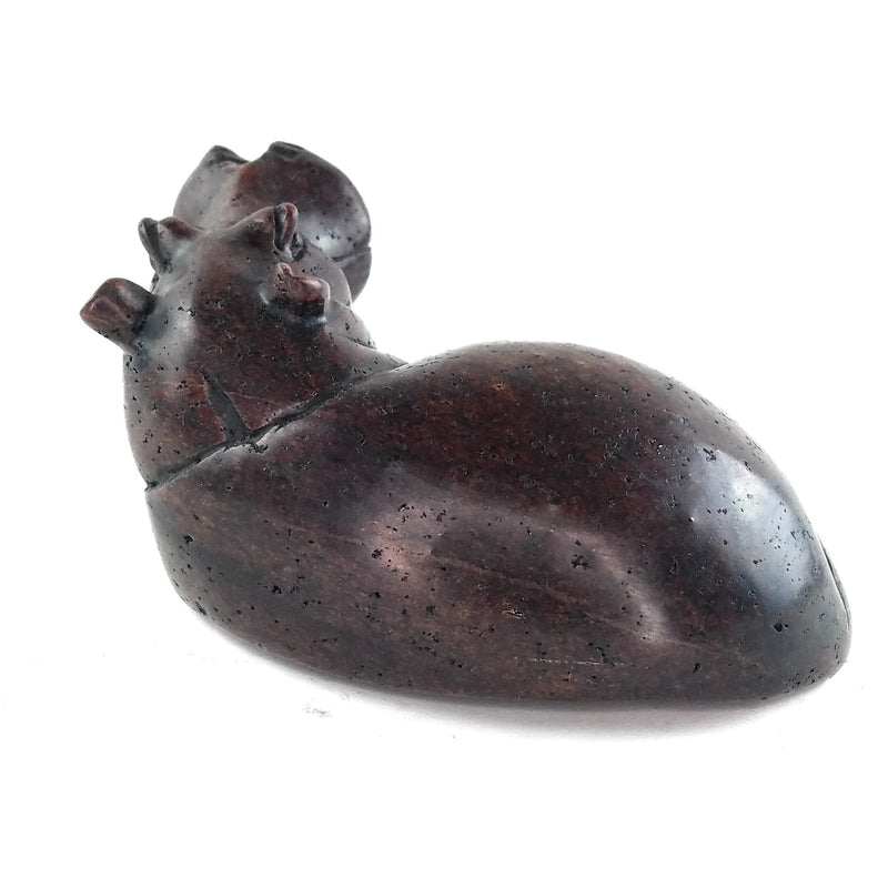 Resting Hippo Hand Carved In Zimbabwe