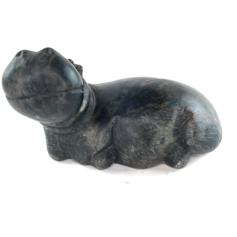 Resting Hippo Hand Carved In Zimbabwe