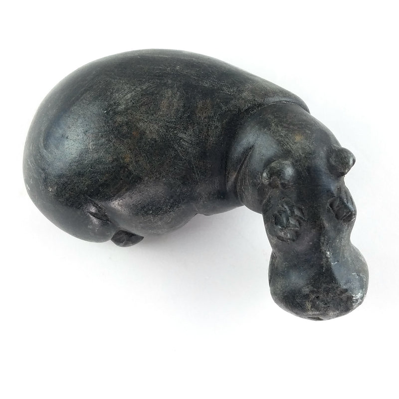 Resting Hippo Hand Carved In Zimbabwe