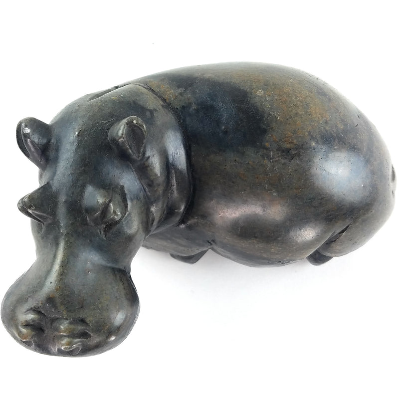 Resting Hippo Hand Carved In Zimbabwe