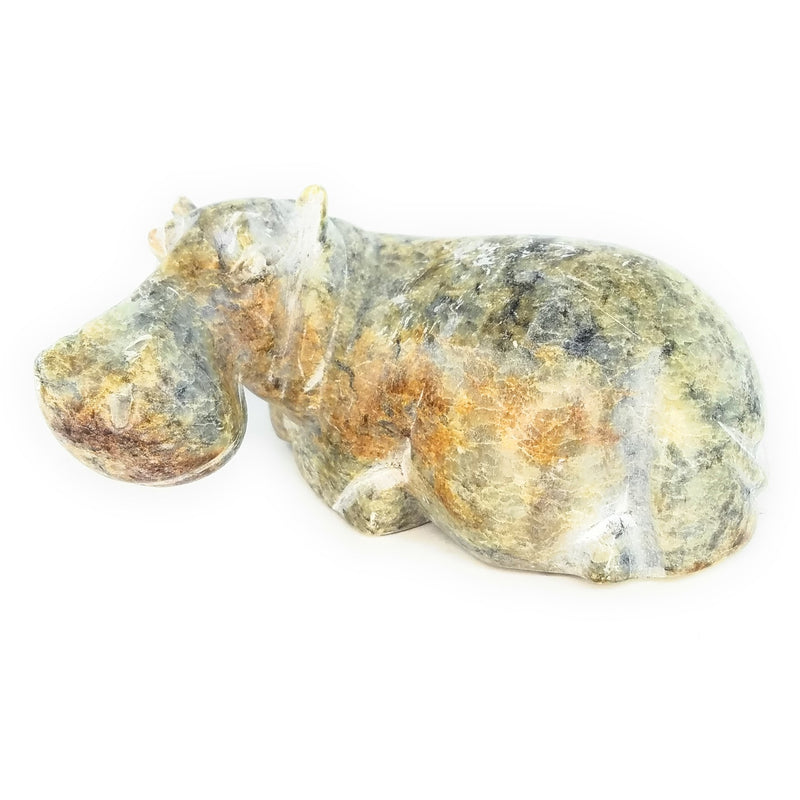 Resting Hippo Hand Carved In Zimbabwe