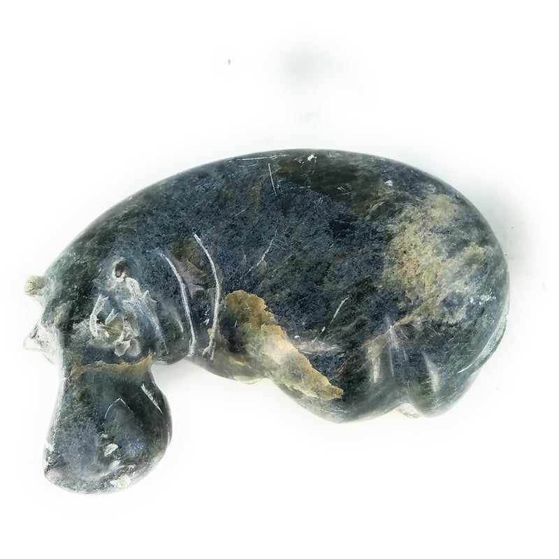 Resting Hippo Hand Carved In Zimbabwe