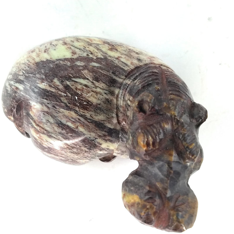 Resting Hippo Hand Carved In Zimbabwe