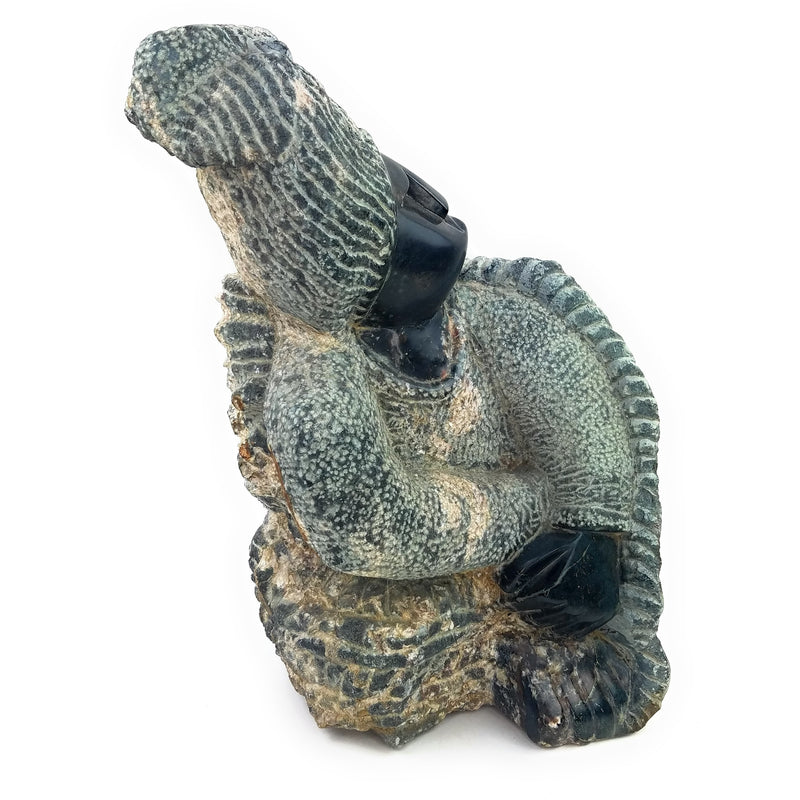 Looking Back In The Past