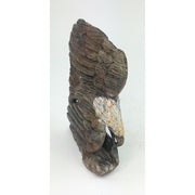 African Fish Eagle Brown & White Opal | Zimbabwe Sculpture