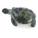 African Stone Turtle – Assorted Finish