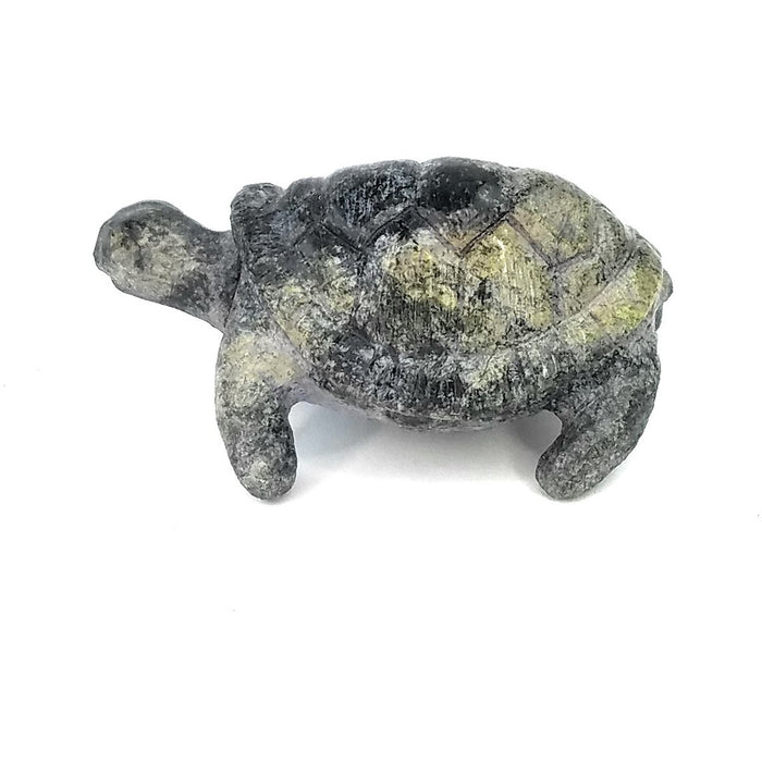 African Stone Turtle – Assorted Finish