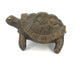 African Stone Turtle – Assorted Finish