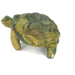 African Stone Turtle – Assorted Finish