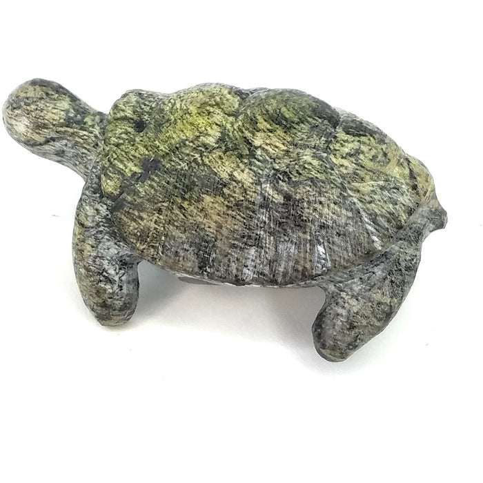 African Stone Turtle – Assorted Finish