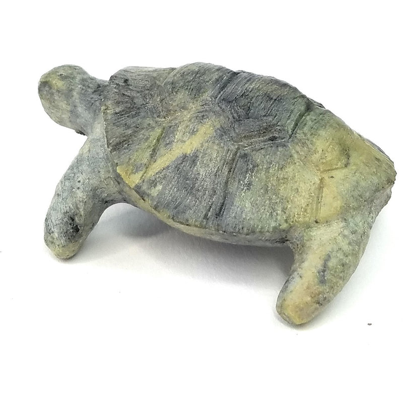 African Stone Turtle – Assorted Finish