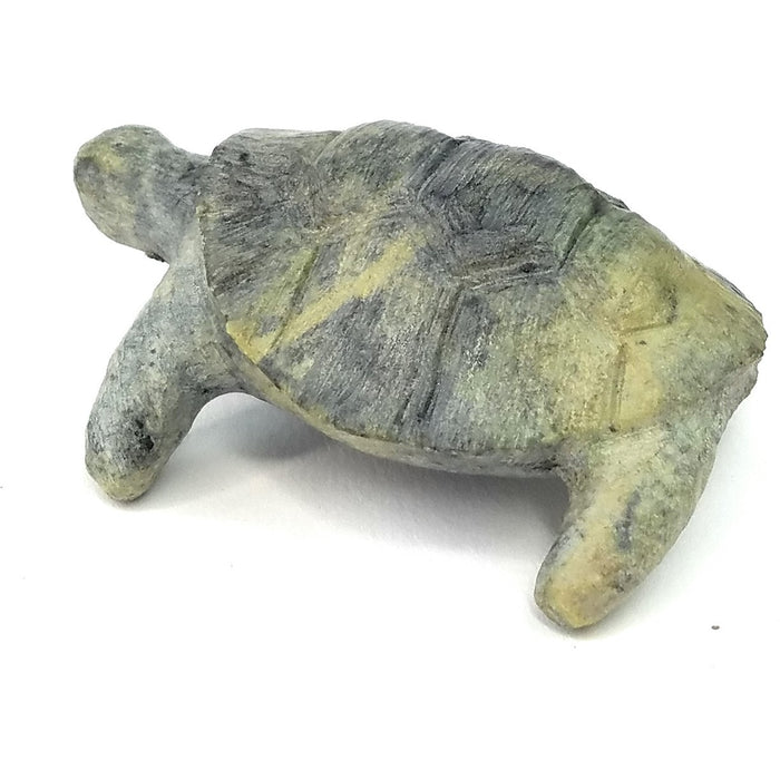 African Stone Turtle – Assorted Finish