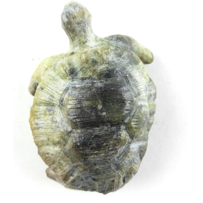 African Stone Turtle – Assorted Finish