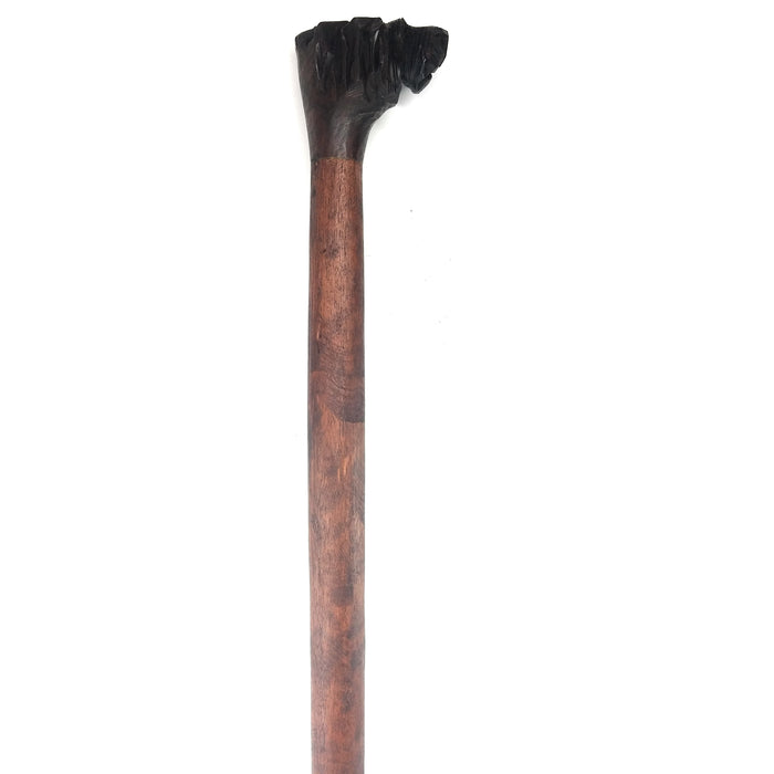 African Walking Stick with Lion Head Handle – Hand Carved in Zimbabwe