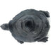 Black African Stone Turtle – Domed Shell | Hand Carved in Zimbabwe