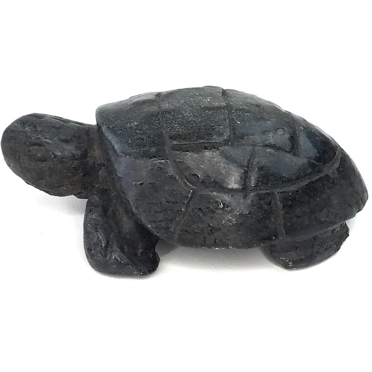 Black African Stone Turtle Rounded Shell | Hand Carved Art — A Taste Of ...