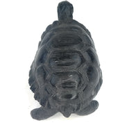 Black African Stone Turtle Textured Shell | Shona Art