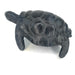 Black African Stone Turtle Textured Shell | Shona Art