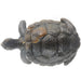 Brown & Black African Stone Turtle Sculpture – Hand Carved in Zimbabwe
