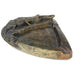 A serpentine stone soap dish with a crocodile design, used as an ashtray.