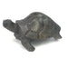 Earth-Tone Green Stone Turtle Sculpture
