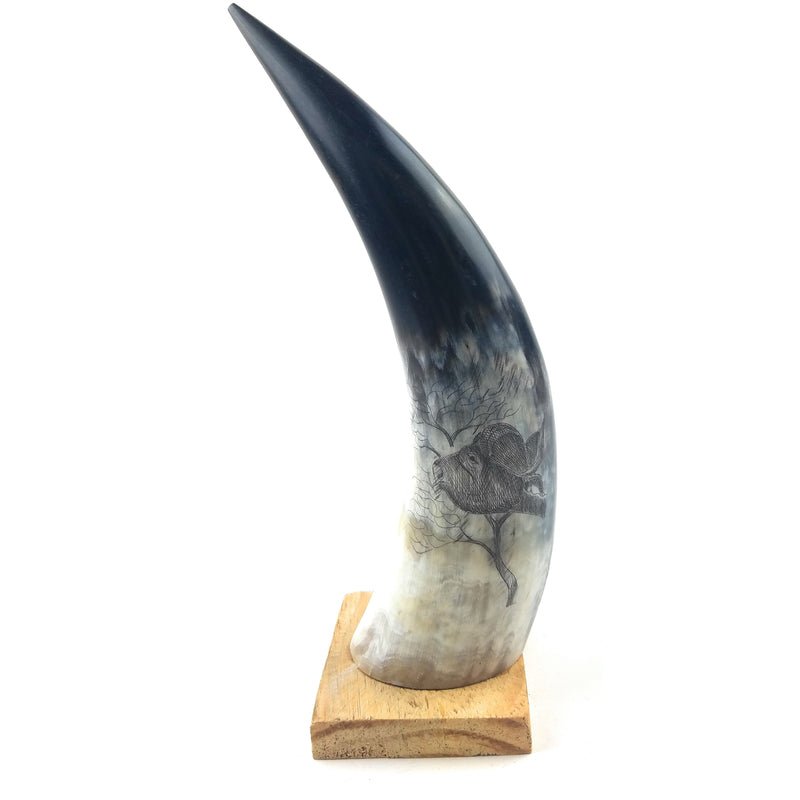 Hand-Carved Nguni Cow Horn Scrimshaw