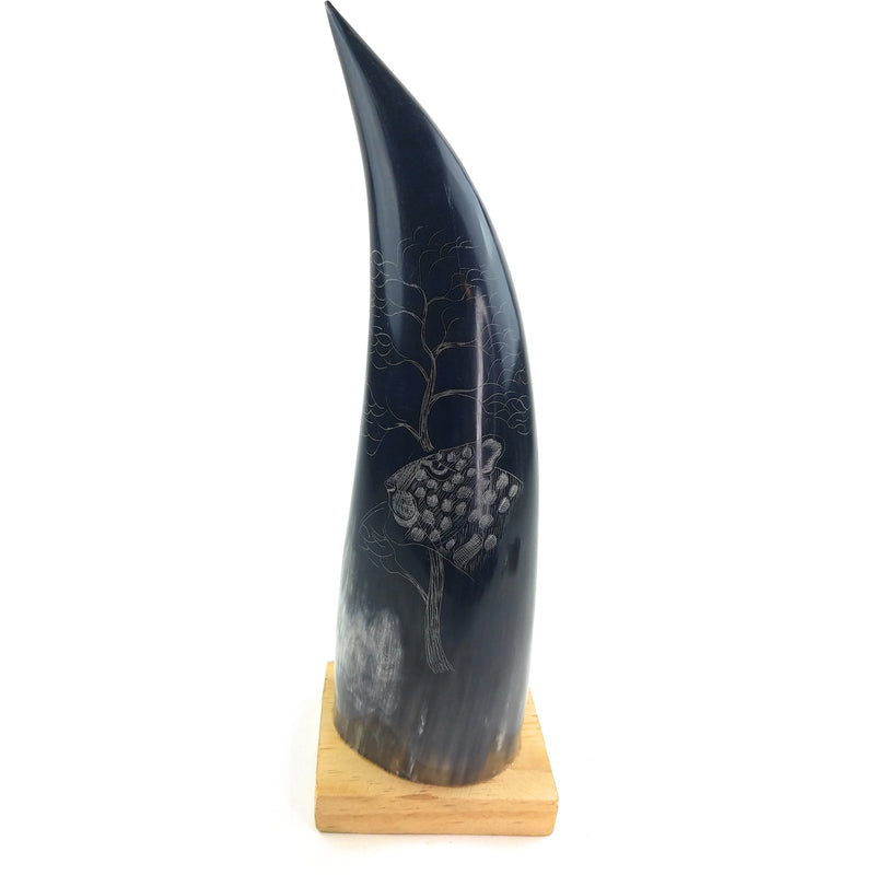 Hand-Carved Nguni Cow Horn Scrimshaw