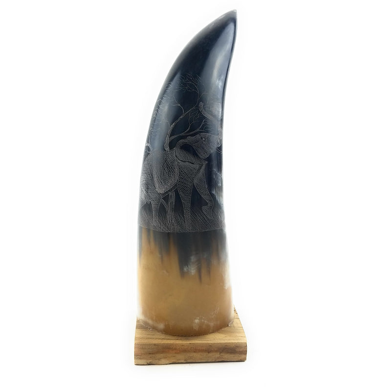 Hand-Carved Nguni Cow Horn Scrimshaw