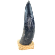 Hand-Carved Nguni Cow Horn Scrimshaw