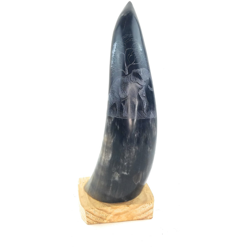 Hand-Carved Nguni Cow Horn Scrimshaw