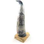 Hand-Carved Nguni Cow Horn Scrimshaw