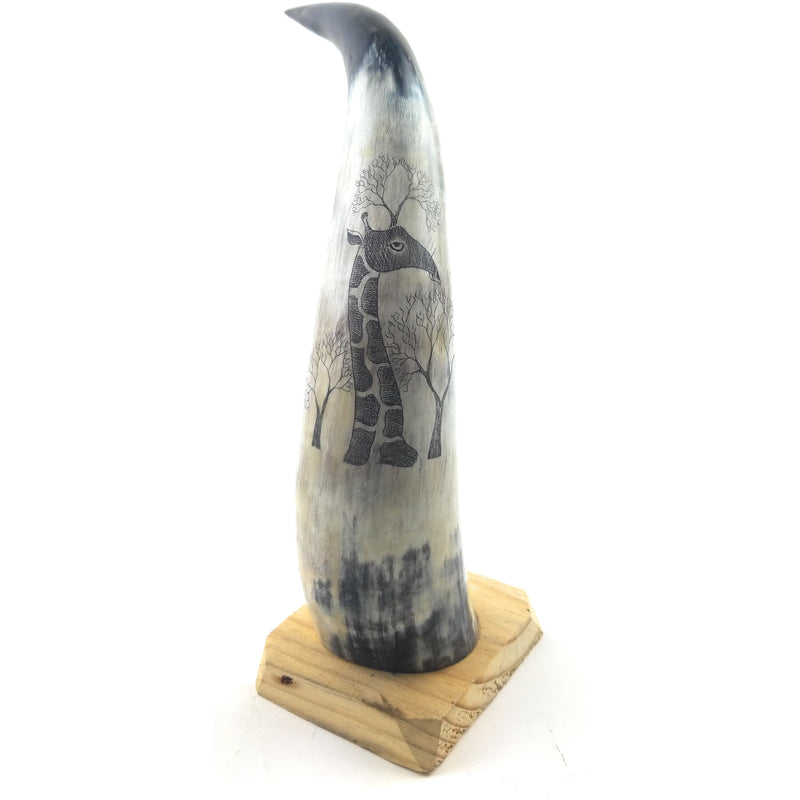 Hand-Carved Nguni Cow Horn Scrimshaw