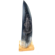 Hand-Carved Nguni Cow Horn Scrimshaw