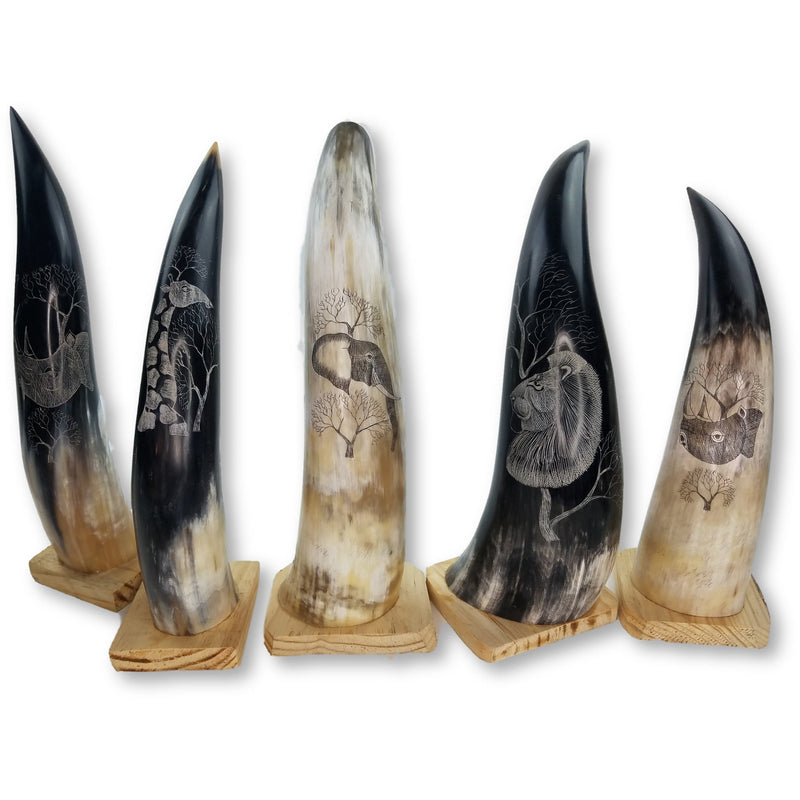 Hand-Carved Nguni Cow Horn Scrimshaw