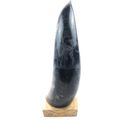 Hand-Carved Nguni Cow Horn Scrimshaw