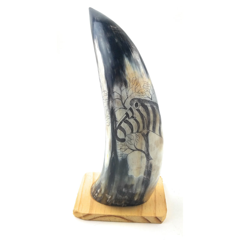 Hand-Carved Nguni Cow Horn Scrimshaw