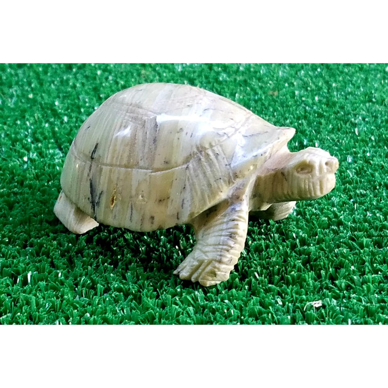 Stone Turtle (African Tortoise) Hand Carved In Zimbabwe