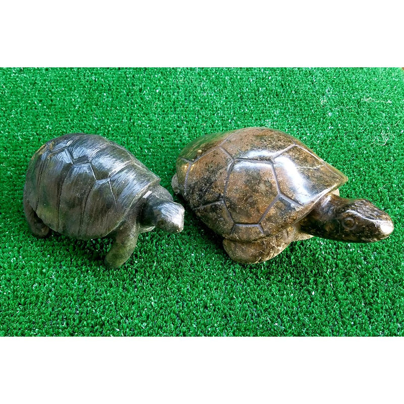 Stone Turtle (African Tortoise) Hand Carved In Zimbabwe