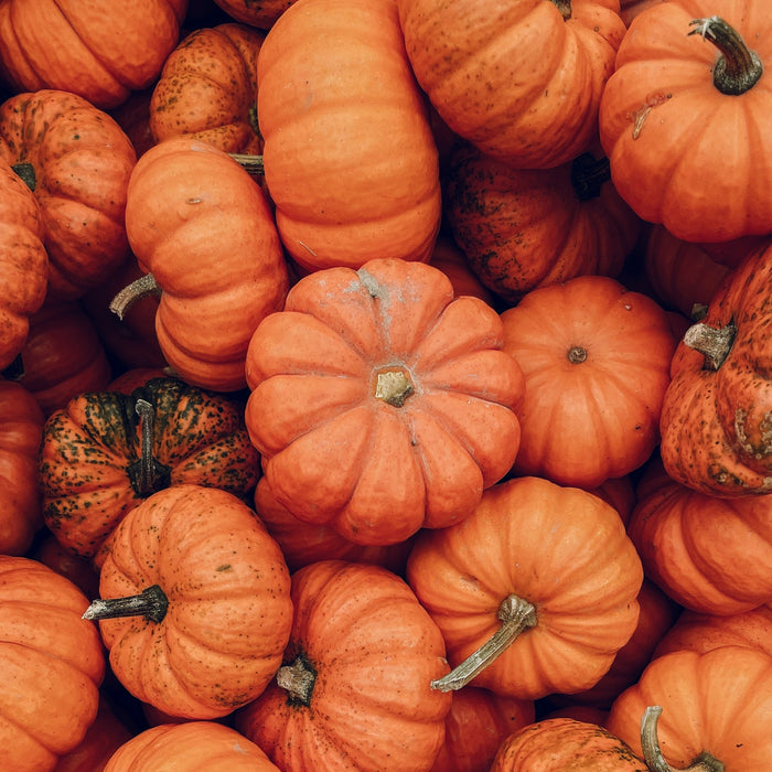 Pumpkin Spice Soap