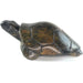Serpentine Stone Turtle (African Tortoise) – Hand Carved in Zimbabwe