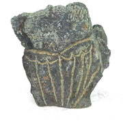 Wise Owl Springstone Sculpture | Hand-Carved Shona Art Zimbabwe