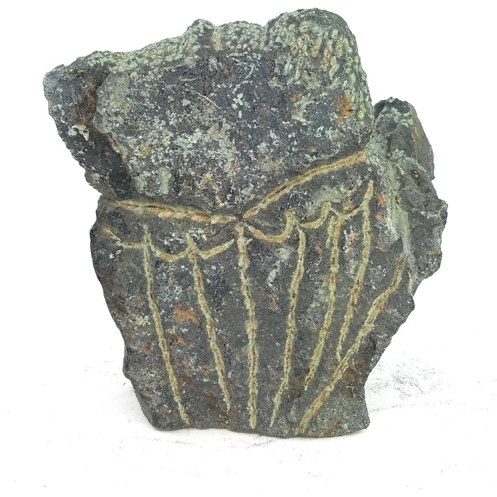 Wise Owl Springstone Sculpture | Hand-Carved Shona Art Zimbabwe